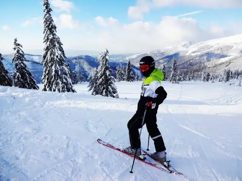 Skier a vogel en slovenie