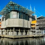 aquarium lisbon oceanarium