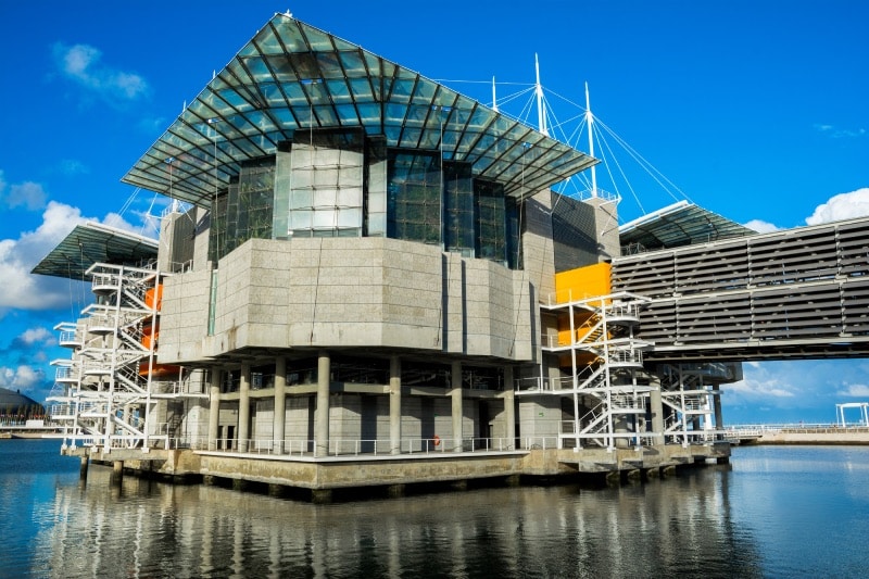 aquarium lisbon oceanarium