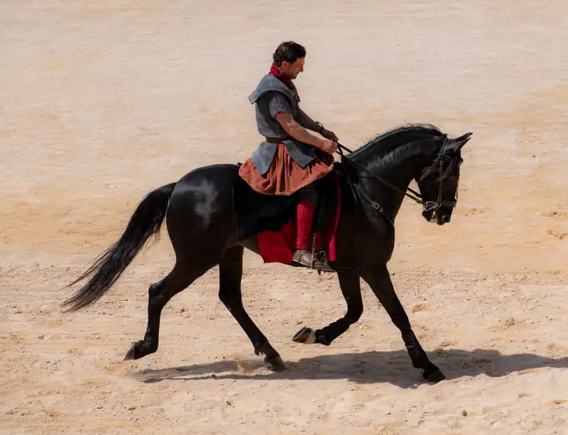 Programme feria de Nimes 2025