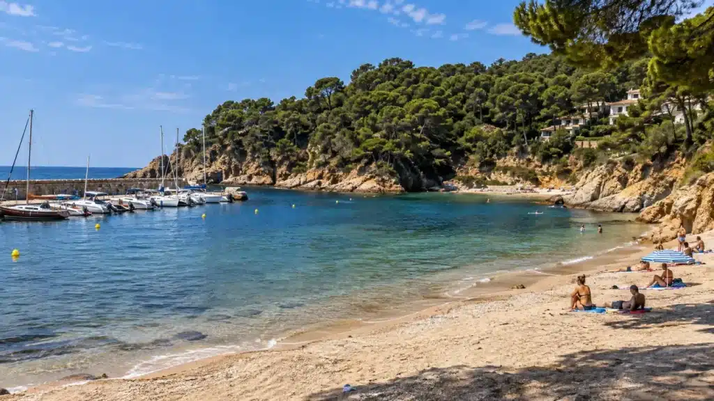 Photo de Cala Canyelles à Lloret de Mar, avec sa plage, son port de plaisance et ses falaises boisées.